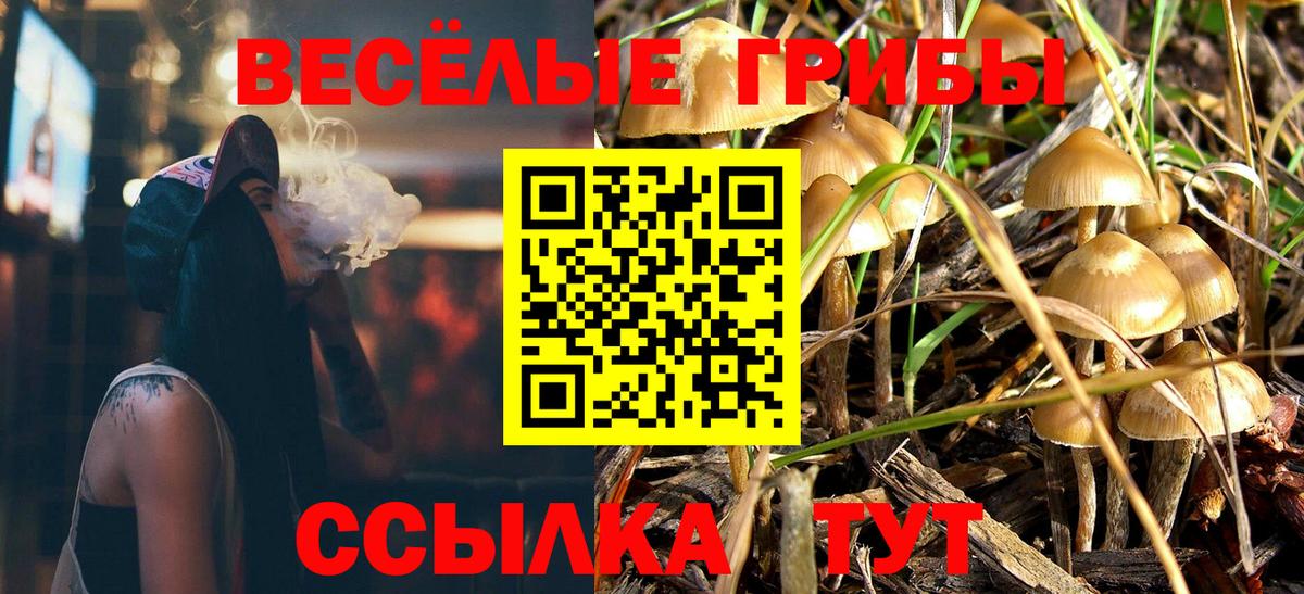 Псилоцибиновые грибы GOLDEN TEACHER Долгопрудный