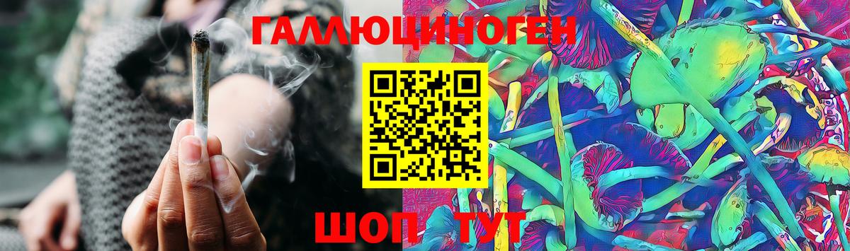 Галлюциногенные грибы Psilocybe  Вход с VPN  Долгопрудный 
